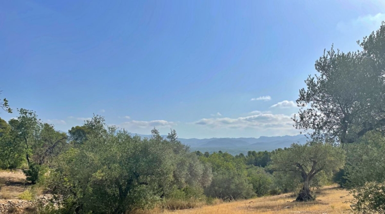 Tarragona - Aldover - 13325m2