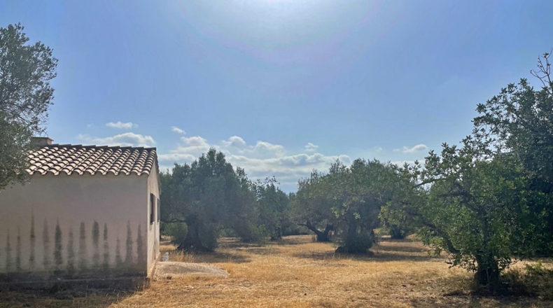 Tarragona - Aldover - 13325m2