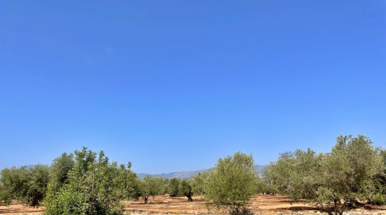 Tarragona - Aldover - 13325m2