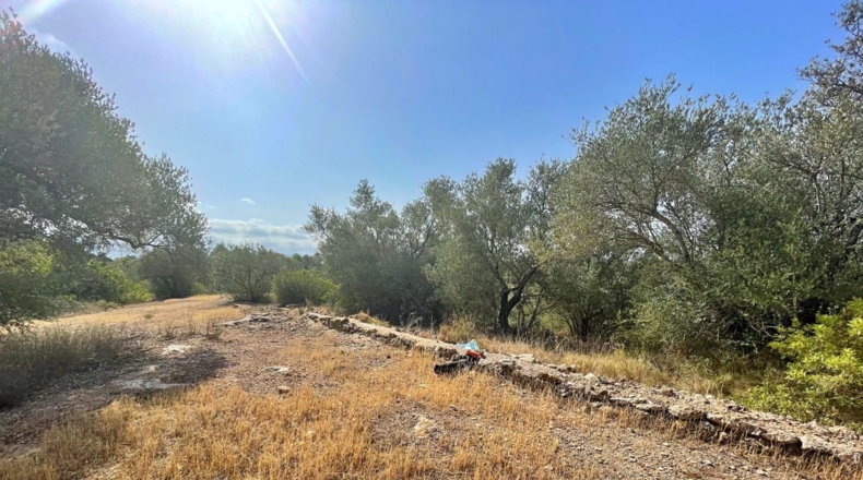 Tarragona - Aldover - 13325m2