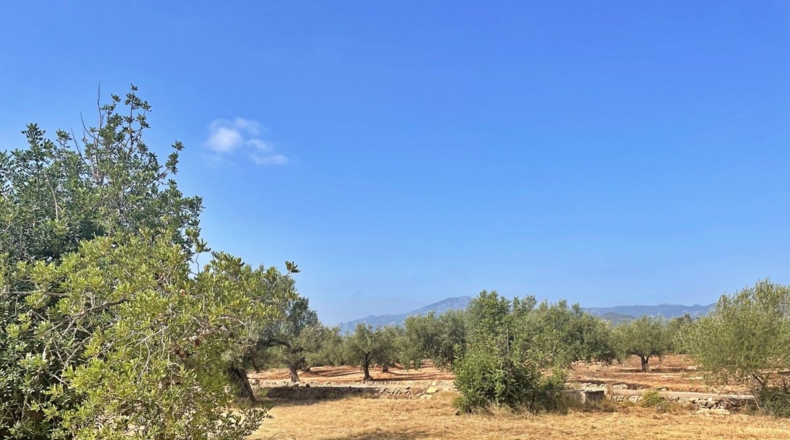 Tarragona - Aldover - 13325m2