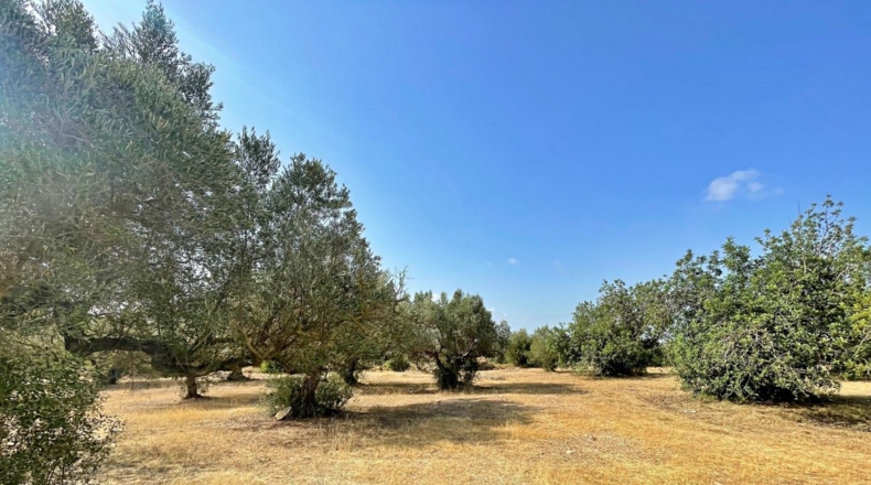 Tarragona - Aldover - 13325m2