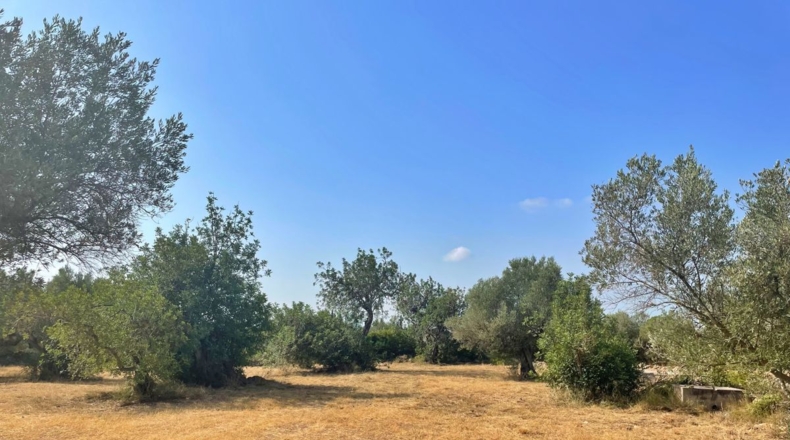 Tarragona - Aldover - 13325m2