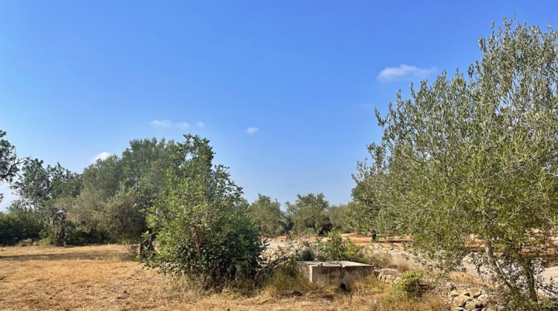 Tarragona - Aldover - 13325m2