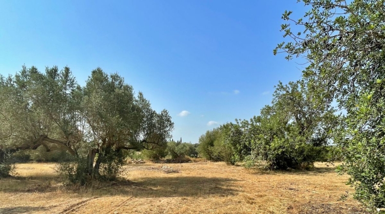 Tarragona - Aldover - 13325m2