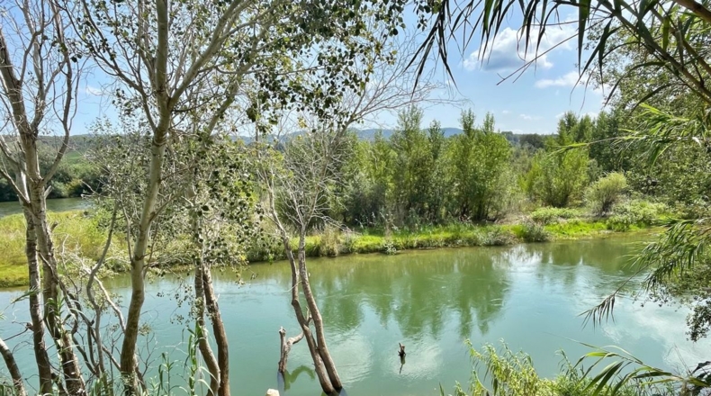 Tarragona - Tortosa - 16000m2
