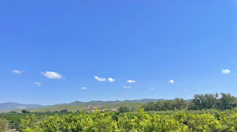 Tarragona - Tortosa - 16000m2