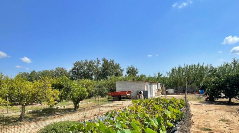 Tarragona - Tortosa - 16000m2
