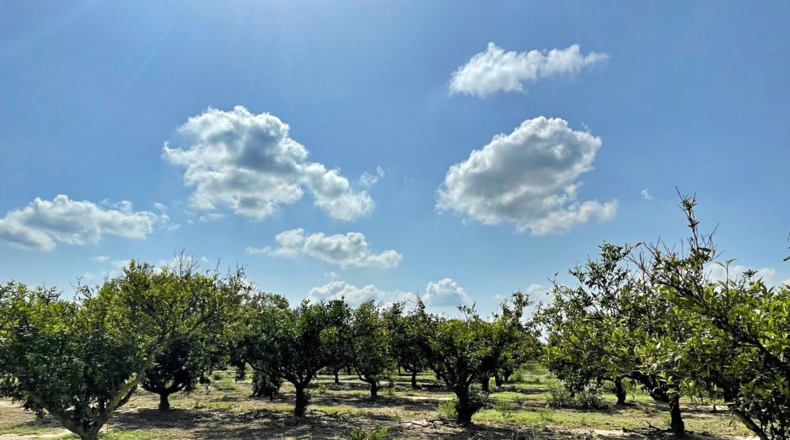 Tarragona - Tortosa - 16000m2