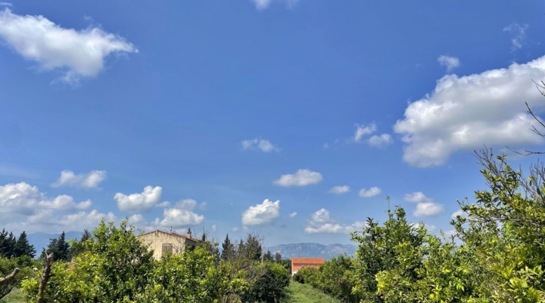 Tarragona - Tortosa - 16000m2