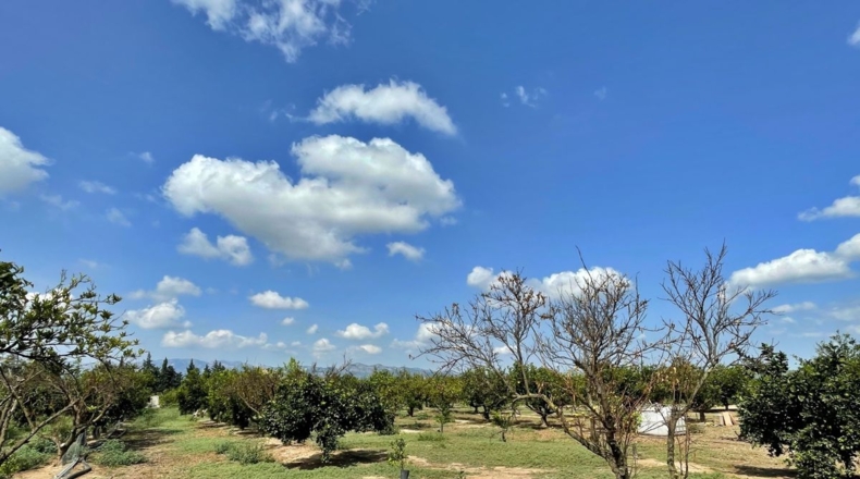 Tarragona - Tortosa - 16000m2