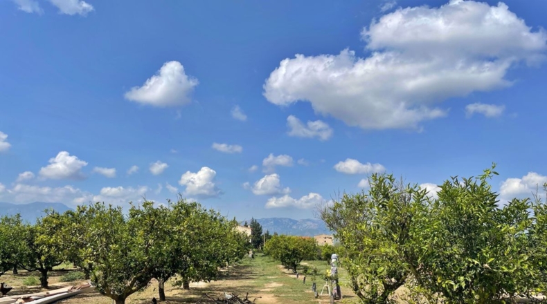 Tarragona - Tortosa - 16000m2