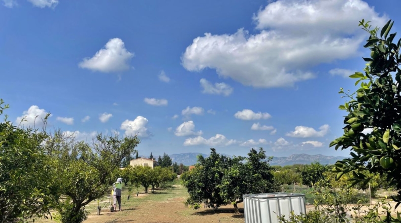 Tarragona - Tortosa - 16000m2