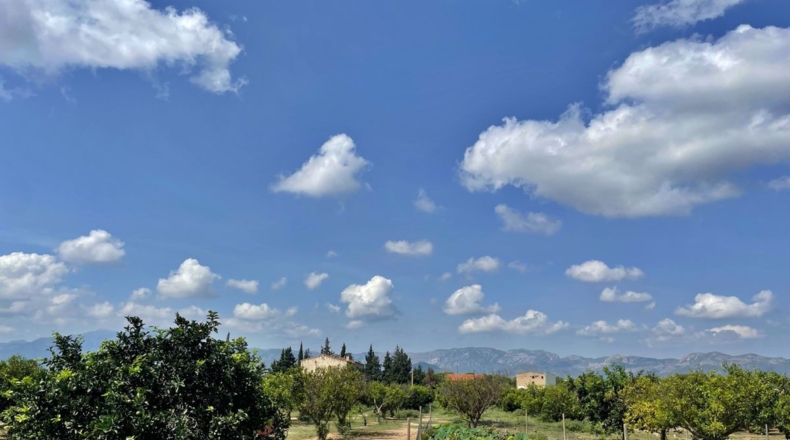 Tarragona - Tortosa - 16000m2