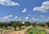 Xalet independent amb terreny en venda a Tortosa ref.: TR91354 foto