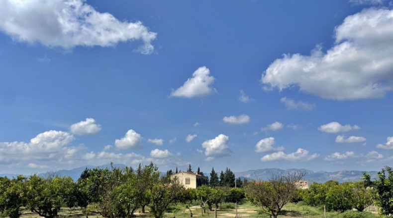 Tarragona - Tortosa - 16000m2