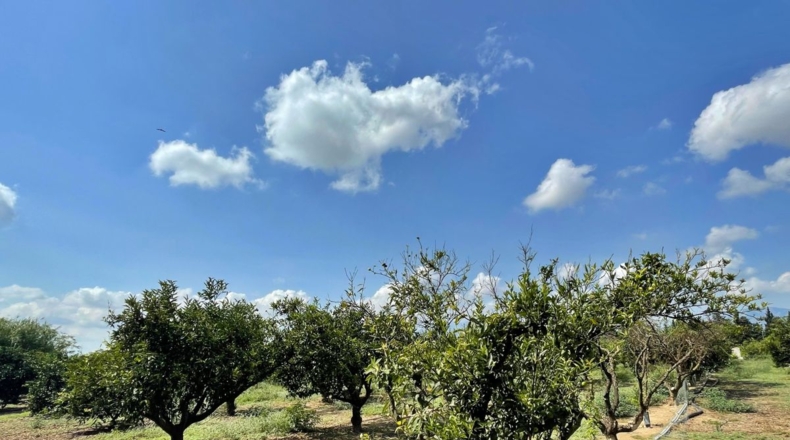 Tarragona - Tortosa - 16000m2
