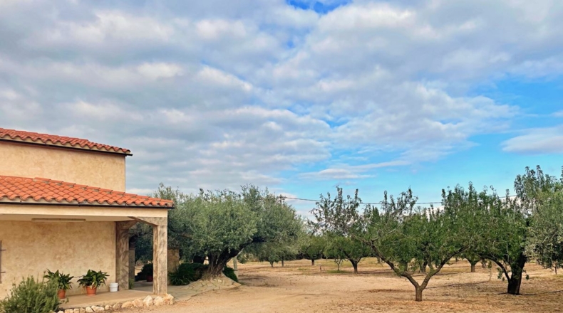 Tarragona - els Reguers - 15000m2
