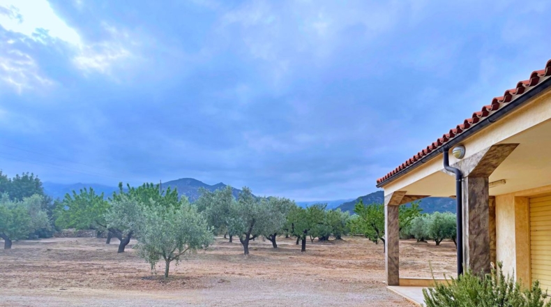 Tarragona - els Reguers - 15000m2