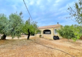 Xalet independent amb terreny en venda a Tortosa ref.: TR93733 foto