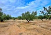 Xalet independent amb terreny en venda a Tortosa ref.: TR93733 foto
