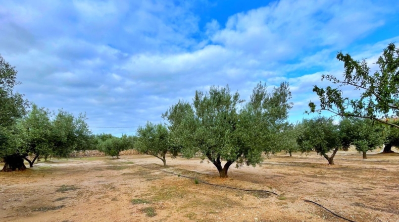 Tarragona - els Reguers - 15000m2