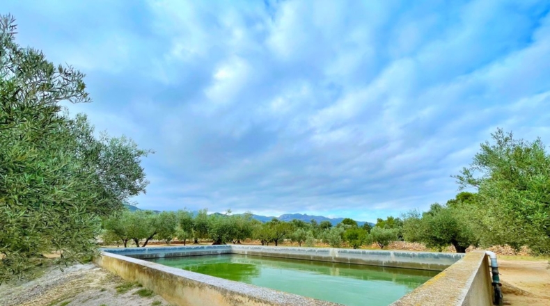 Tarragona - els Reguers - 15000m2