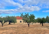 Xalet independent amb terreny en venda a Tortosa ref.: TR93733 foto