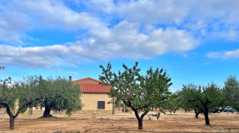Tarragona - els Reguers - 15000m2
