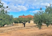Xalet independent amb terreny en venda a Tortosa ref.: TR93733 foto