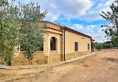 Xalet independent amb terreny en venda a Tortosa ref.: TR93733 foto