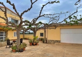 Chalet independiente con terreno en venta en Amposta ref: TR98742 foto