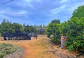 Chalet independiente con terreno en venta en Amposta ref: TR98742 foto