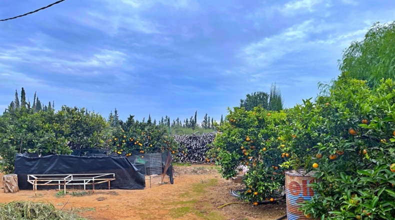 Tarragona - Amposta - 1802m2