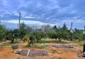 Chalet independiente con terreno en venta en Amposta ref: TR98742 foto