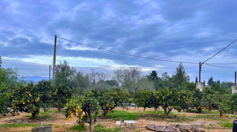 Tarragona - Amposta - 1802m2