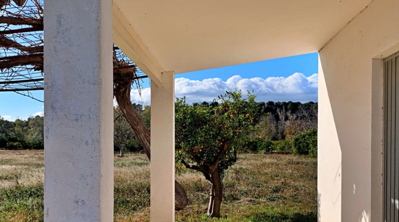 Tarragona - la Sénia - 2163m2