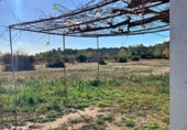 Casa de camp amb terreny en venda a Tortosa ref.: TR99544 foto