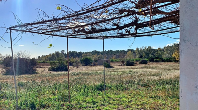 Tarragona - la Sénia - 2163m2