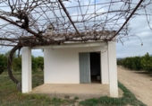Casa de camp amb terreny en venda a Tortosa ref.: TR99544 foto