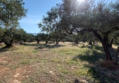 Rural estate for sale in Xerta ref: TR187441 photo