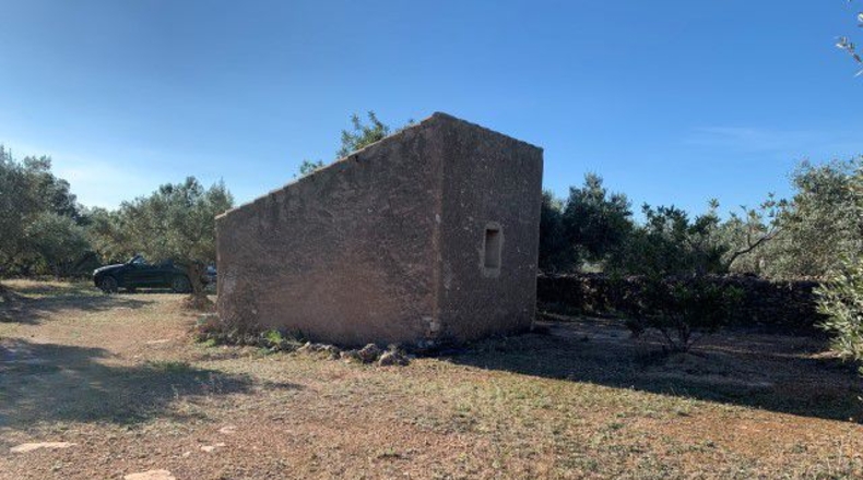 Tarragona - Xerta - 13793m2