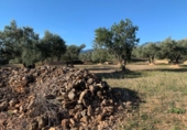 Rural estate for sale in Xerta ref: TR187441 photo