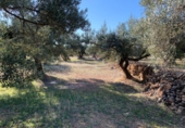 Rural estate for sale in Xerta ref: TR187441 photo
