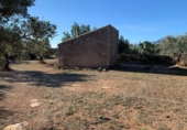 Rural estate for sale in Xerta ref: TR187441 photo