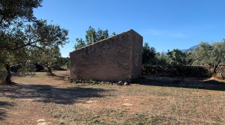 Tarragona - Xerta - 13793m2