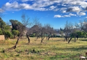 Terreny no urbanitzable en venda a Tortosa ref.: TR103295 foto