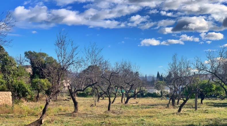 Tarragona - els Reguers - 3833m2