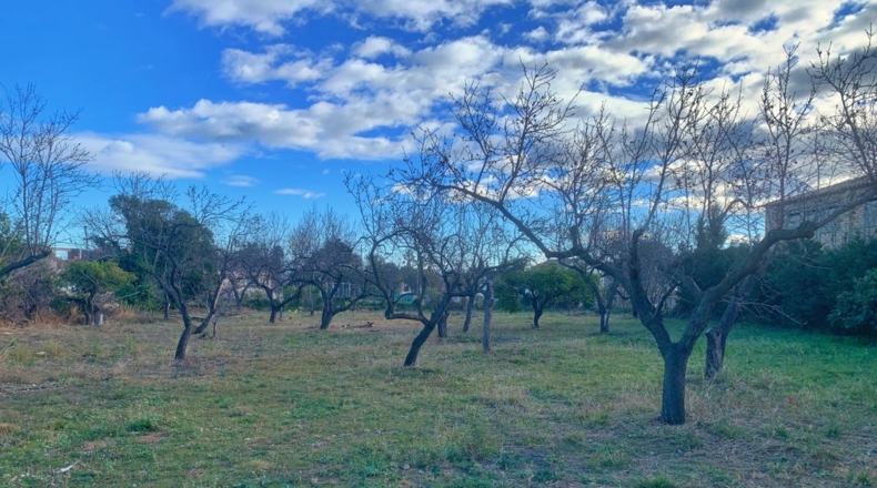 Tarragona - els Reguers - 3833m2