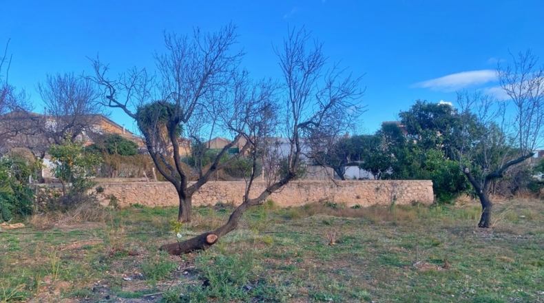Tarragona - els Reguers - 3833m2